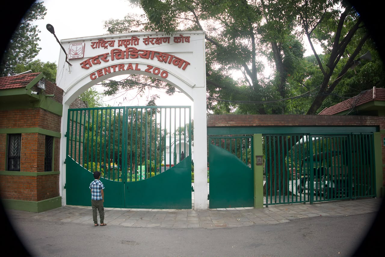 sadarchidiyakhana-zoo- (5).jpeg